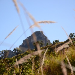 2015-05 South Africa/Drakensburg/DSC_0181.JPG
